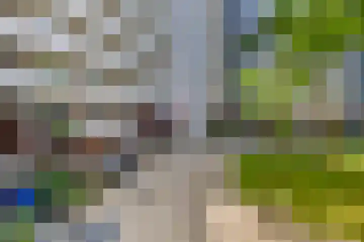 Koopvaardijhof 82 Rotterdam thumbnail 7
