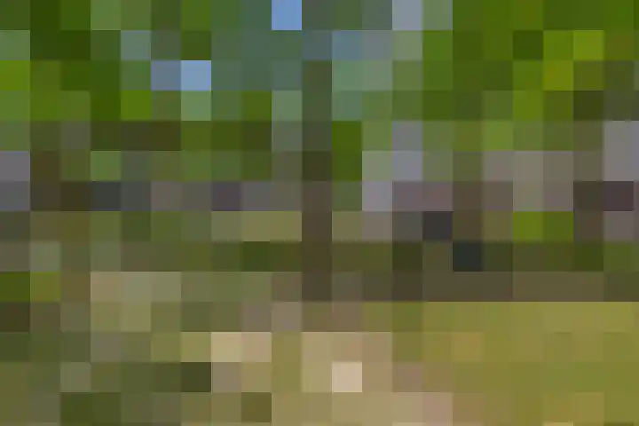 Koopvaardijhof 82 Rotterdam thumbnail 8