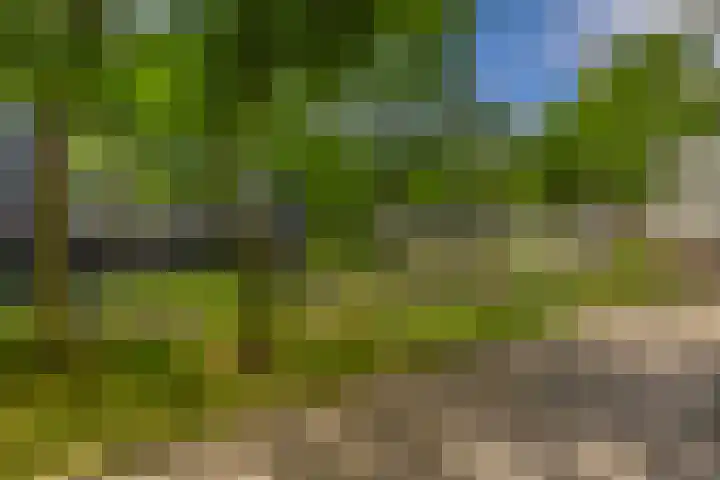Koopvaardijhof 82 Rotterdam thumbnail 9