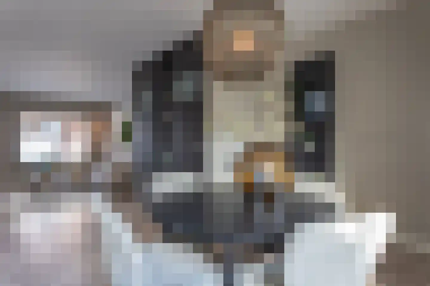 Koopvaardijstraat 12 Tilburg thumbnail 17