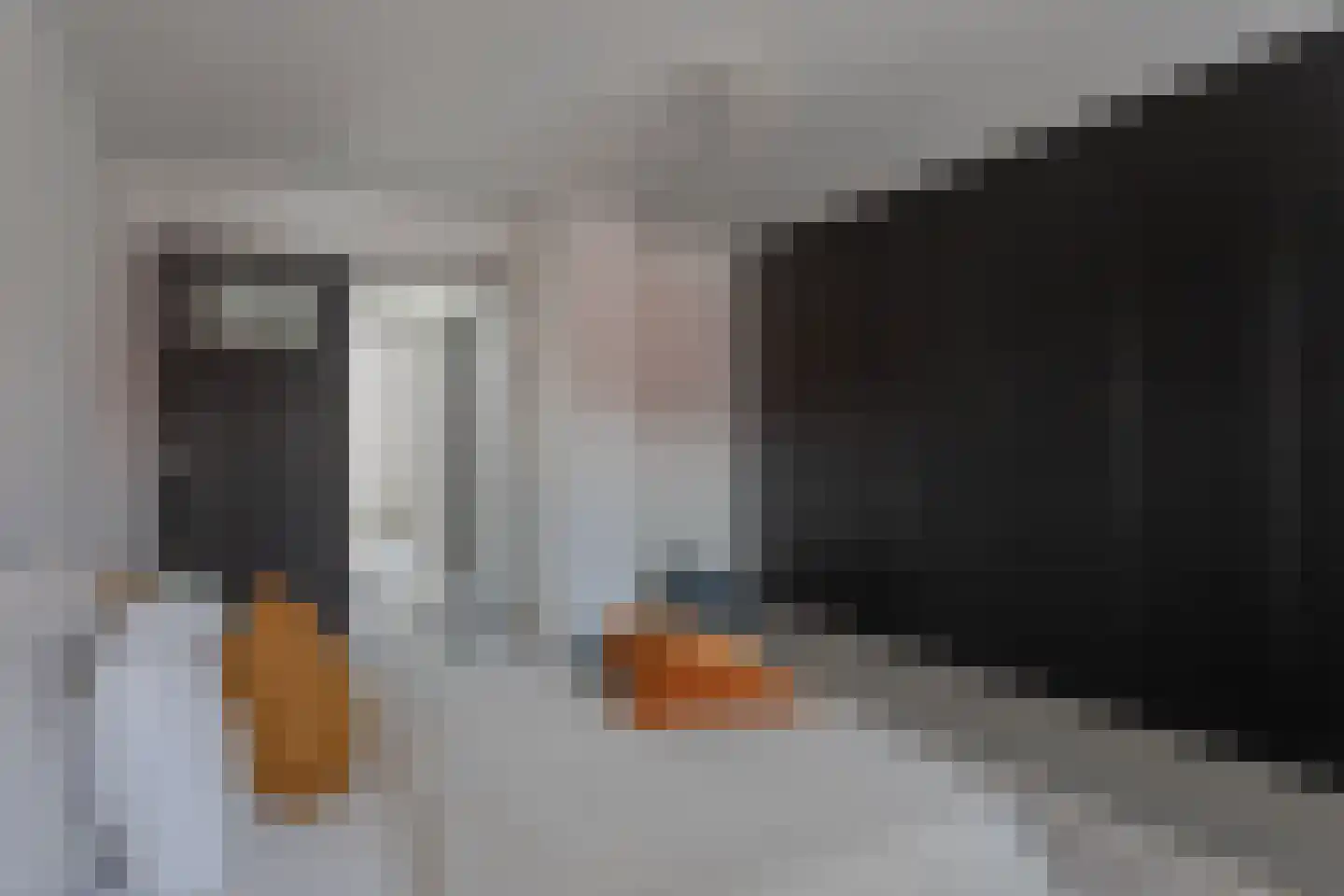 Koopvaardijstraat 12 Tilburg thumbnail 23