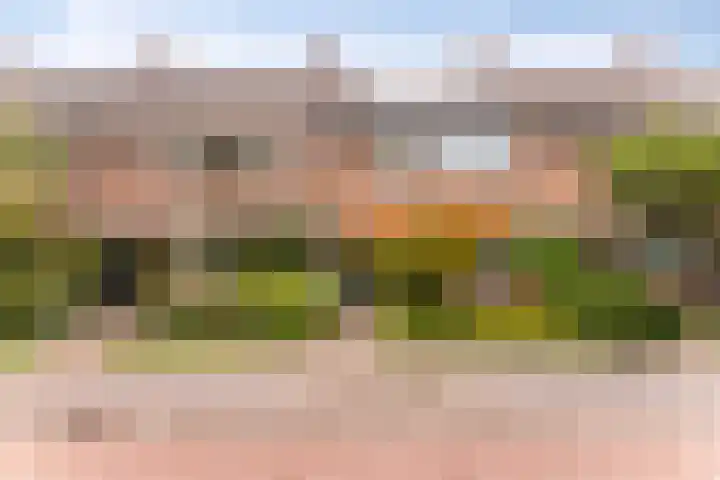 Koopvaardijstraat 98 Zaandam thumbnail 6