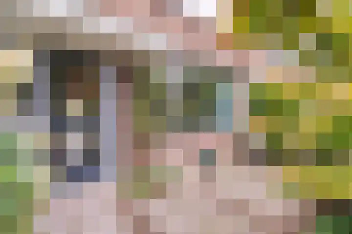 Koopvaardijstraat 98 Zaandam thumbnail 8