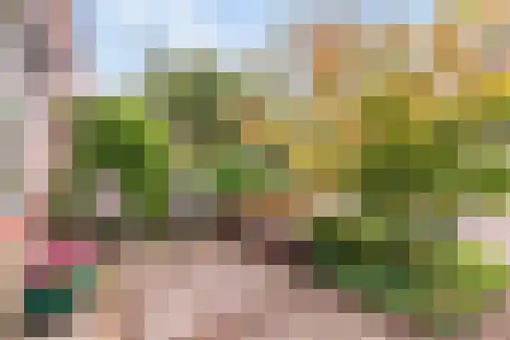 Koopvaardijstraat 98 Zaandam thumbnail 9