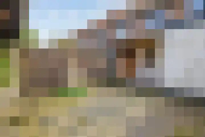 Koopweg 71 Bussum thumbnail 28