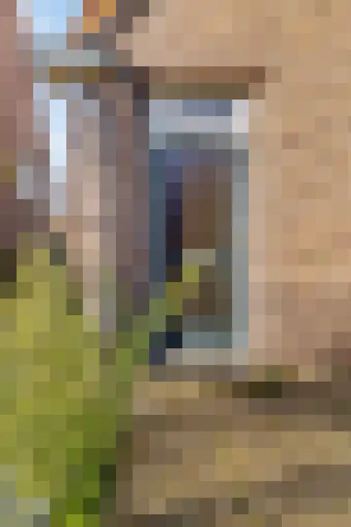 Koopweg 71 Bussum foto 3