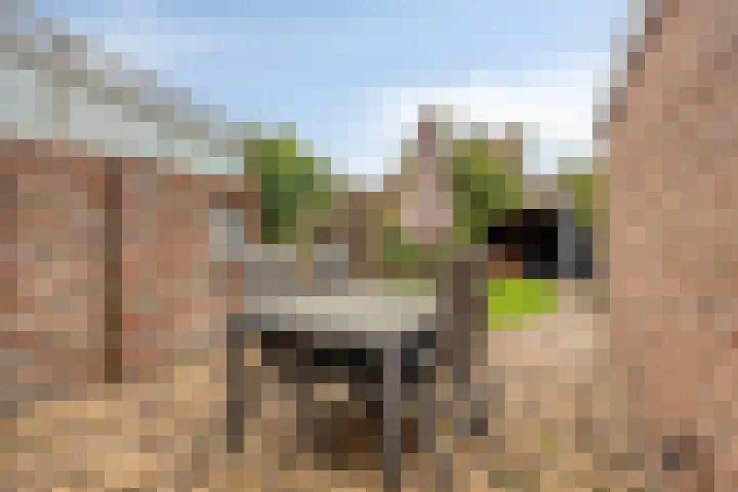 Koorkap 17 Grootebroek thumbnail 30