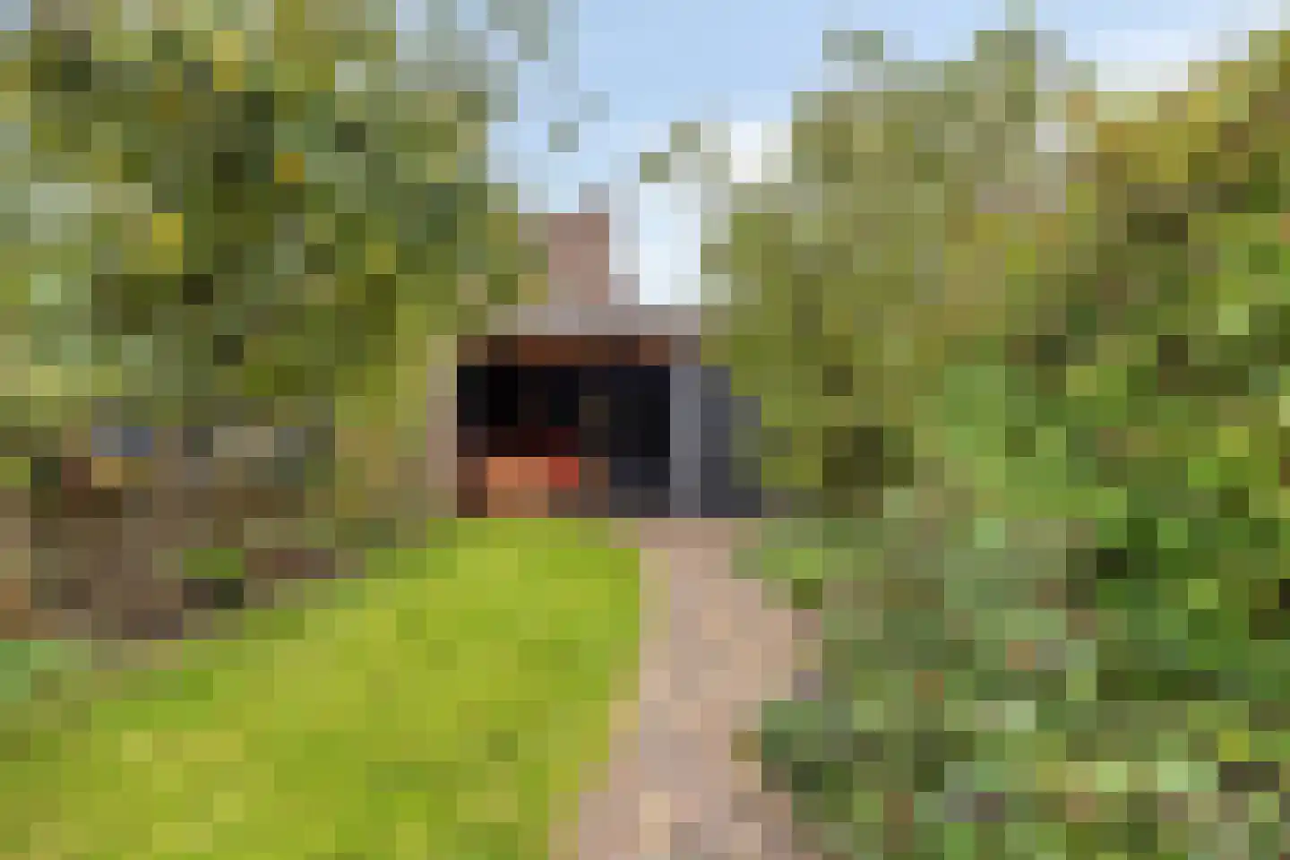 Koorkap 17 Grootebroek thumbnail 31
