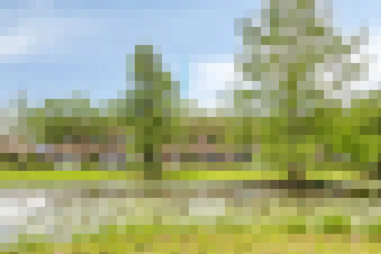 Koorkap 41 Grootebroek