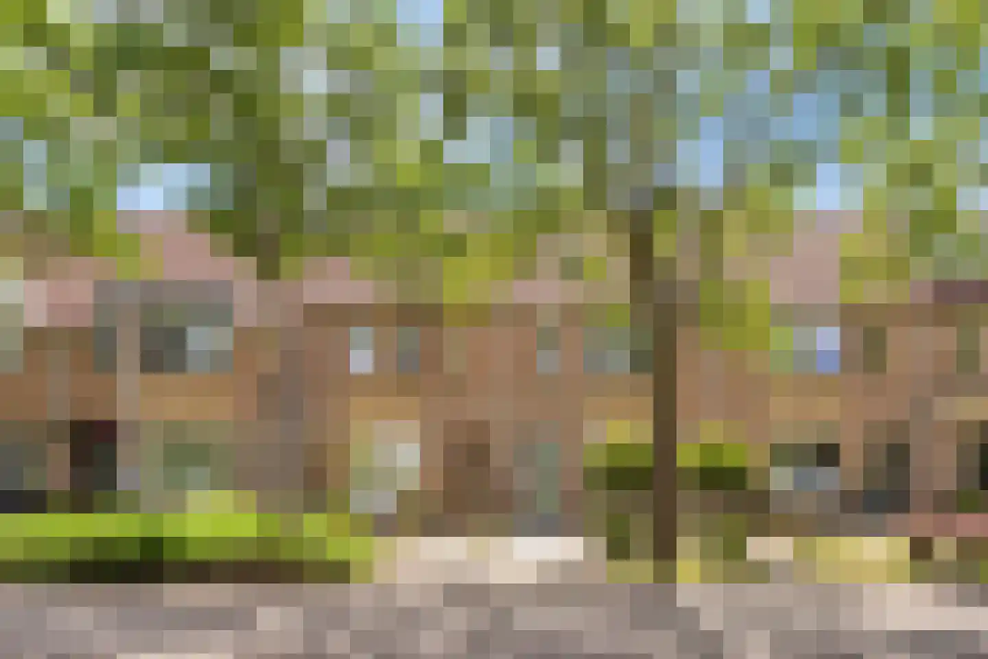 Koorkap 41 Grootebroek thumbnail 4