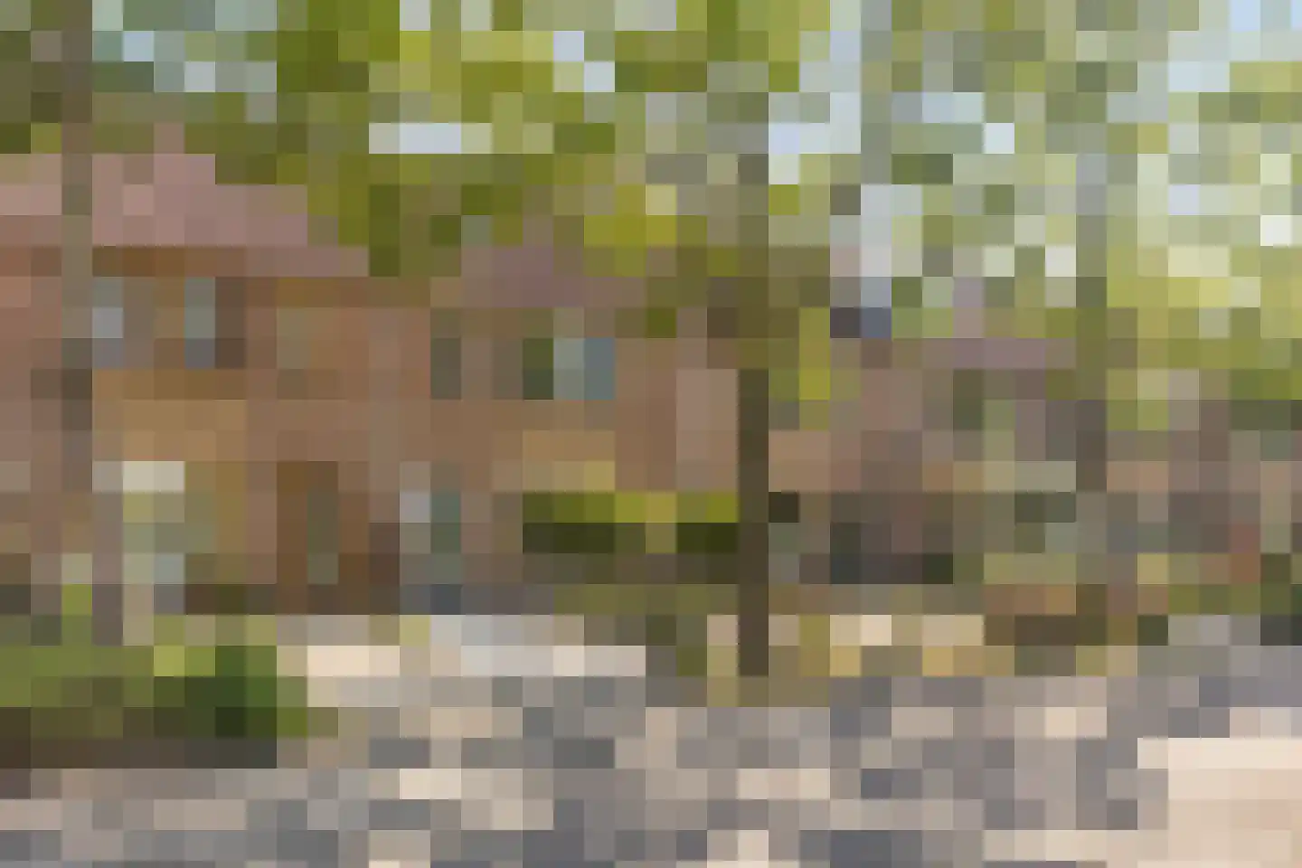 Koorkap 41 Grootebroek thumbnail 5