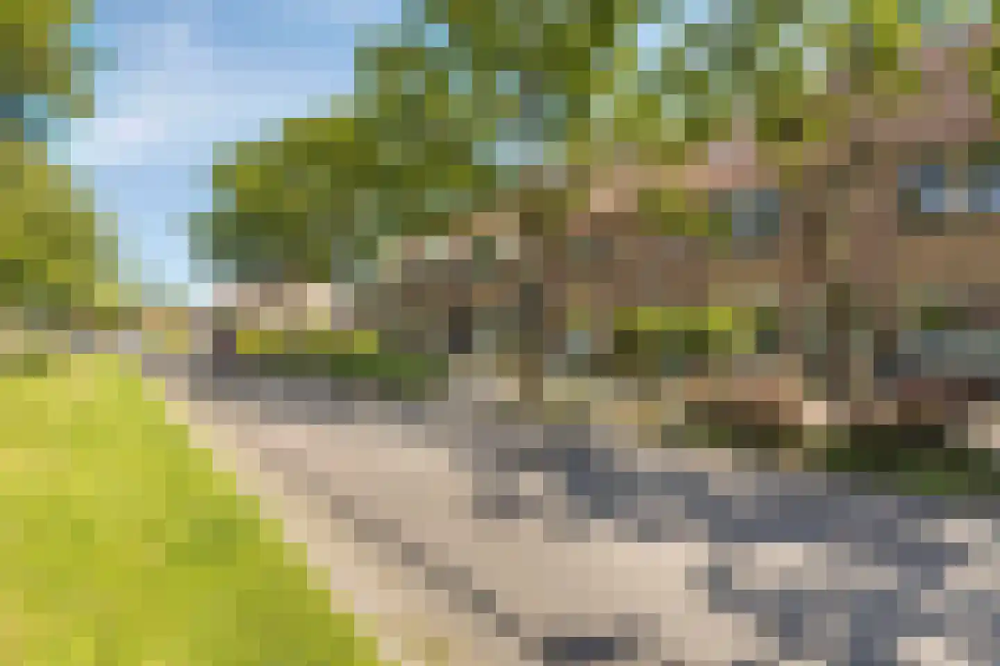 Koorkap 41 Grootebroek thumbnail 6