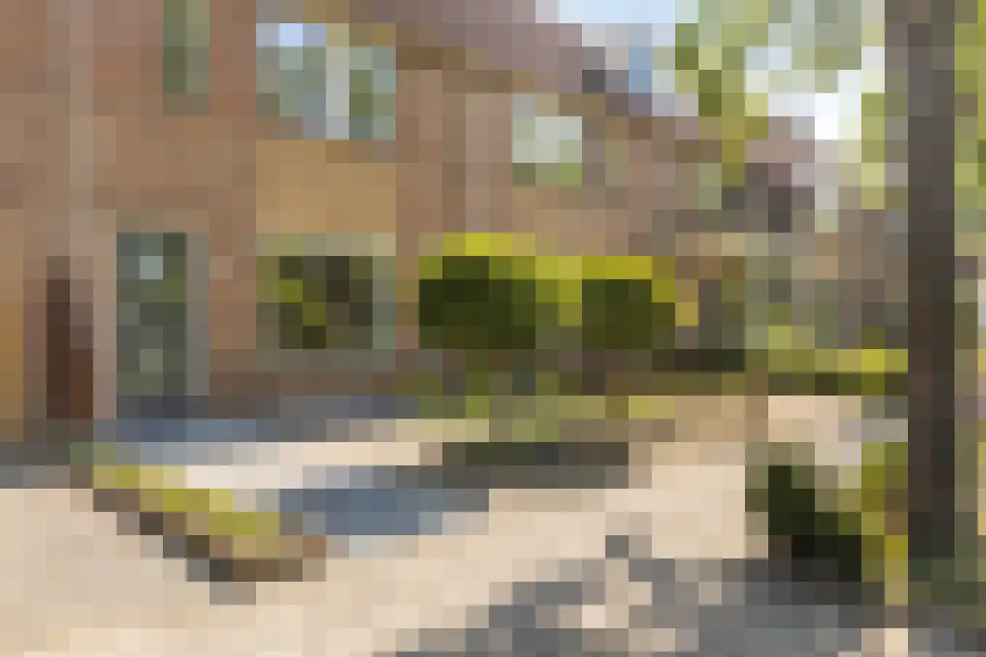 Koorkap 41 Grootebroek thumbnail 8