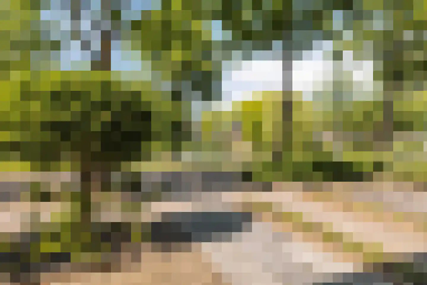 Koorkap 41 Grootebroek thumbnail 9