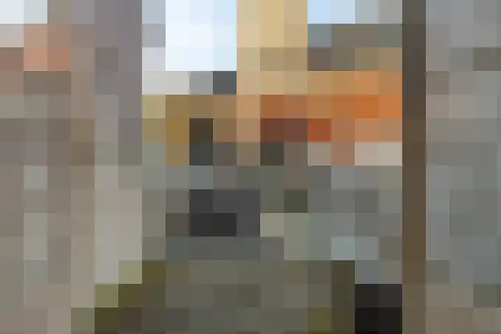 Koorkerkstraat 9 Middelburg thumbnail 13
