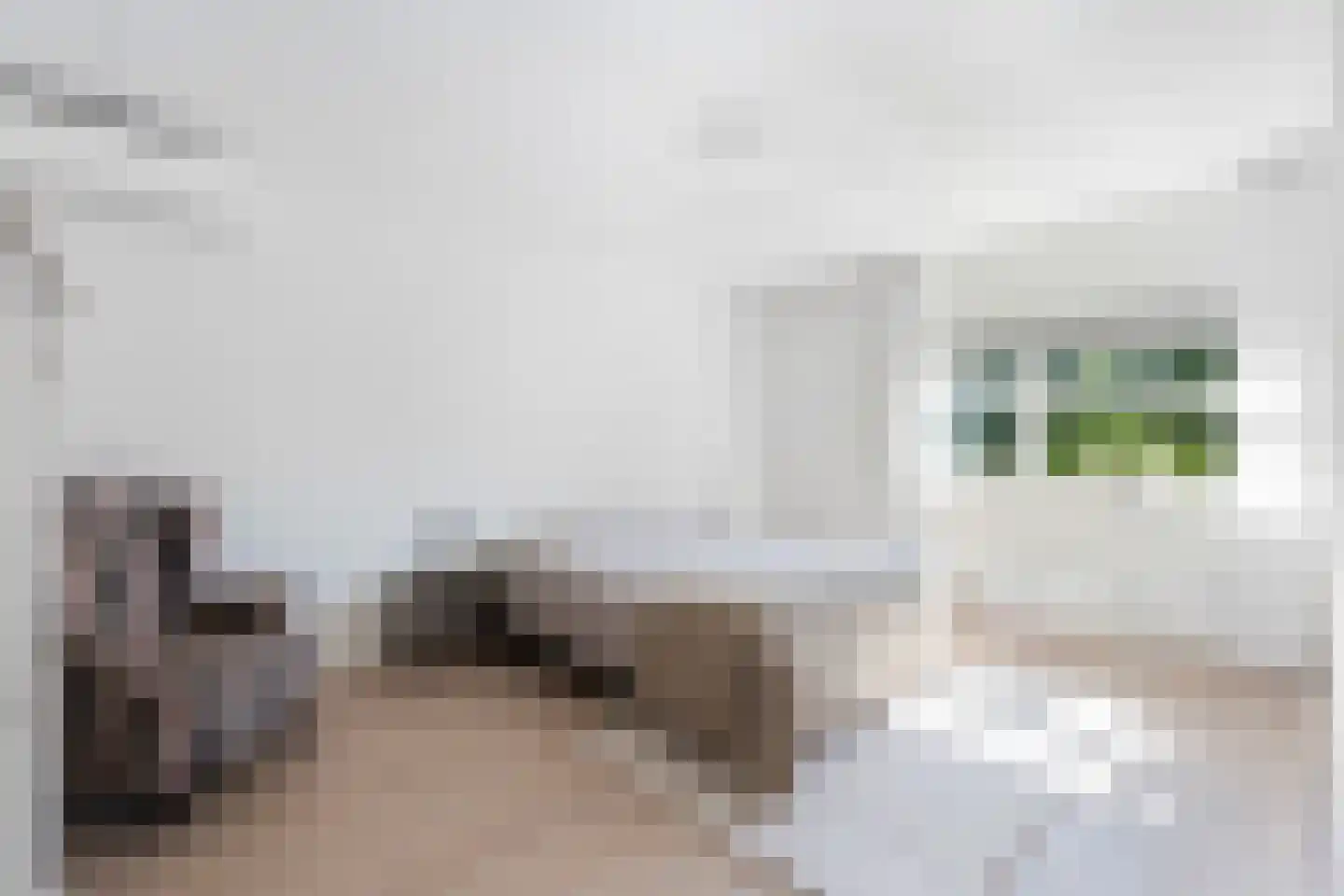Koorman 7 Groenlo thumbnail 16