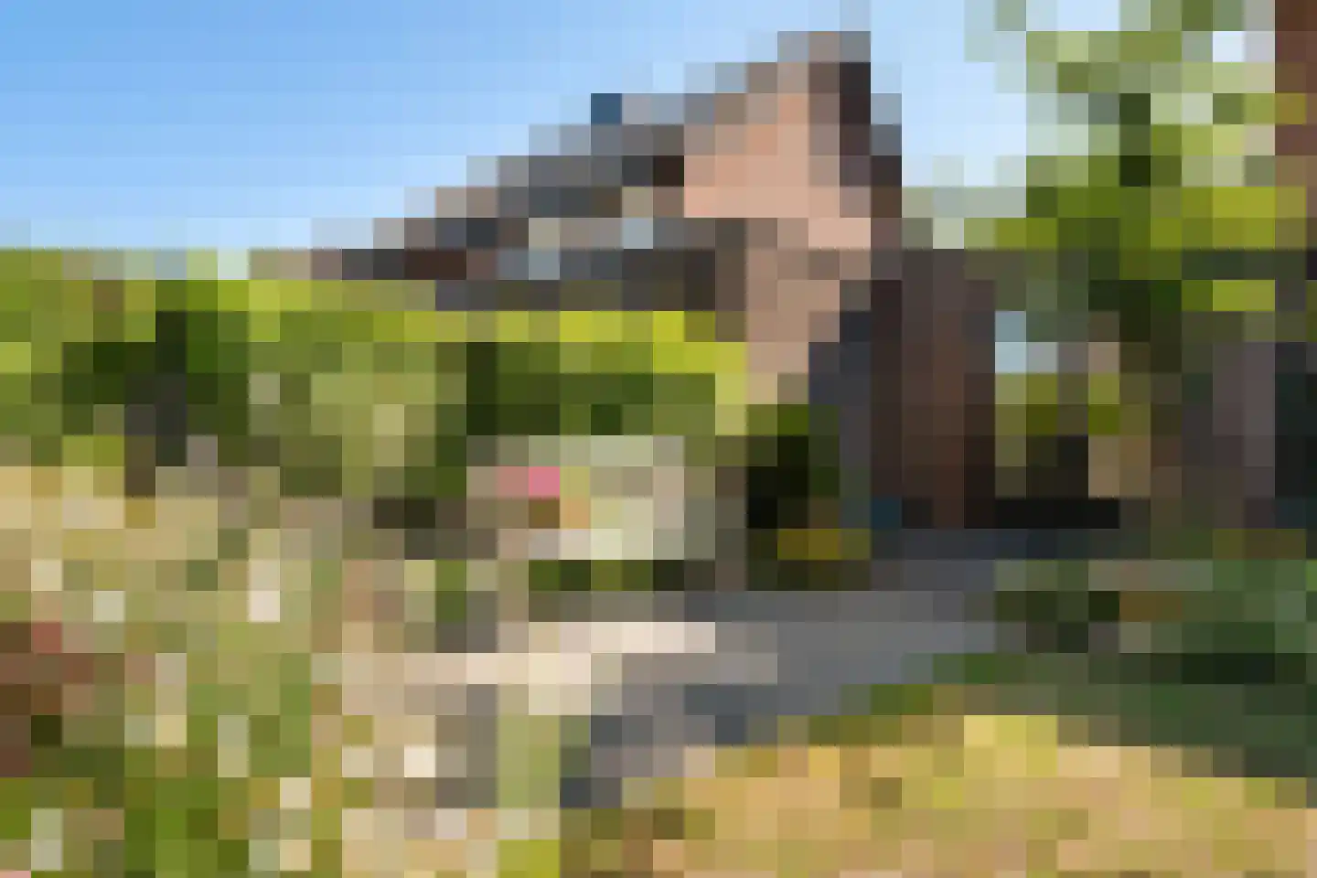 Koorman 7 Groenlo thumbnail 23
