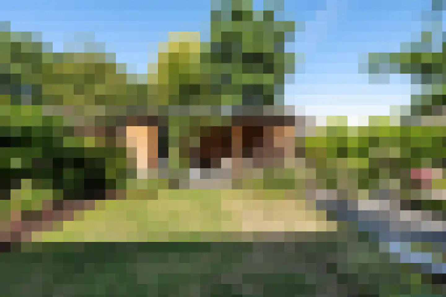 Koorman 7 Groenlo thumbnail 24