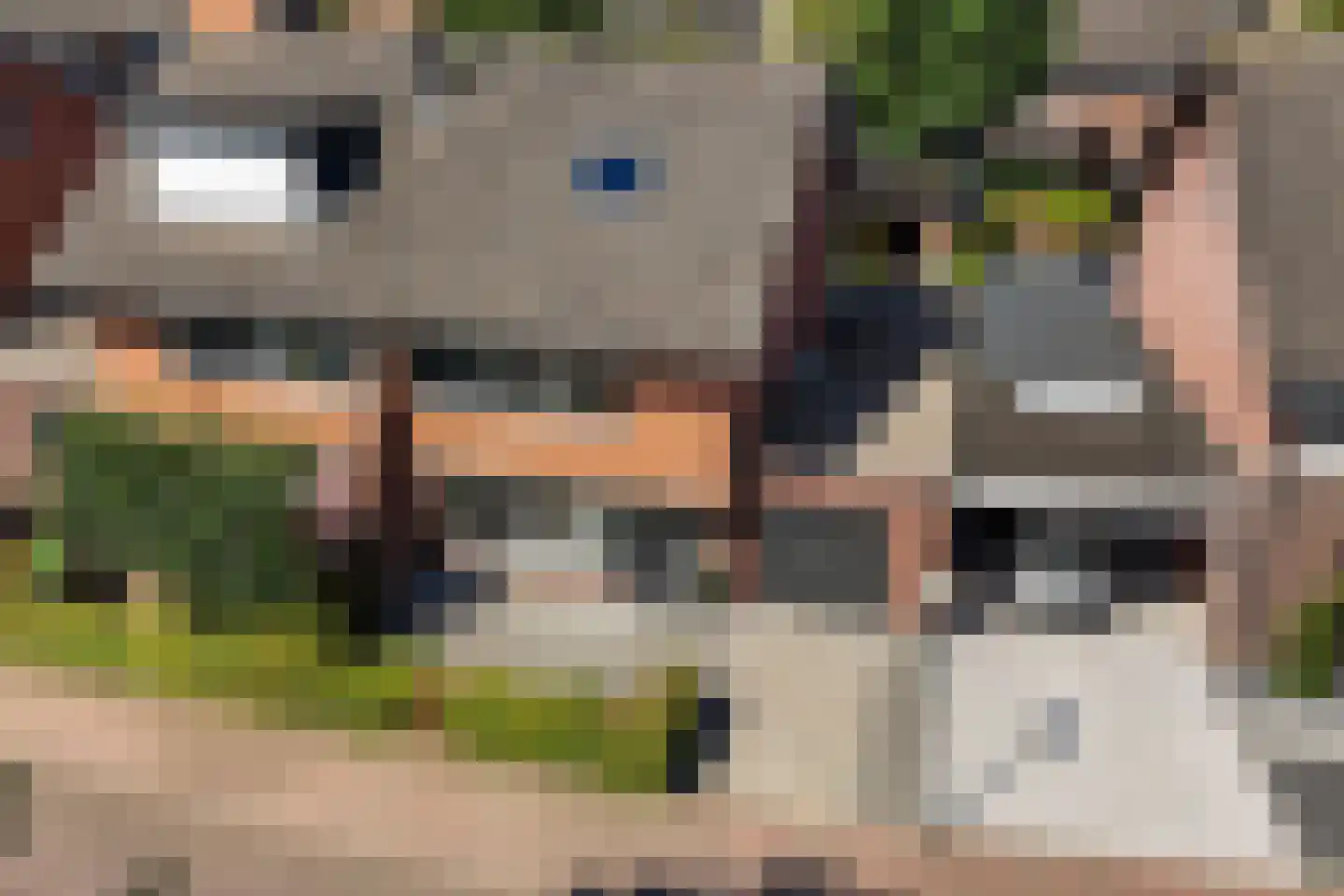 Koorman 7 Groenlo thumbnail 27