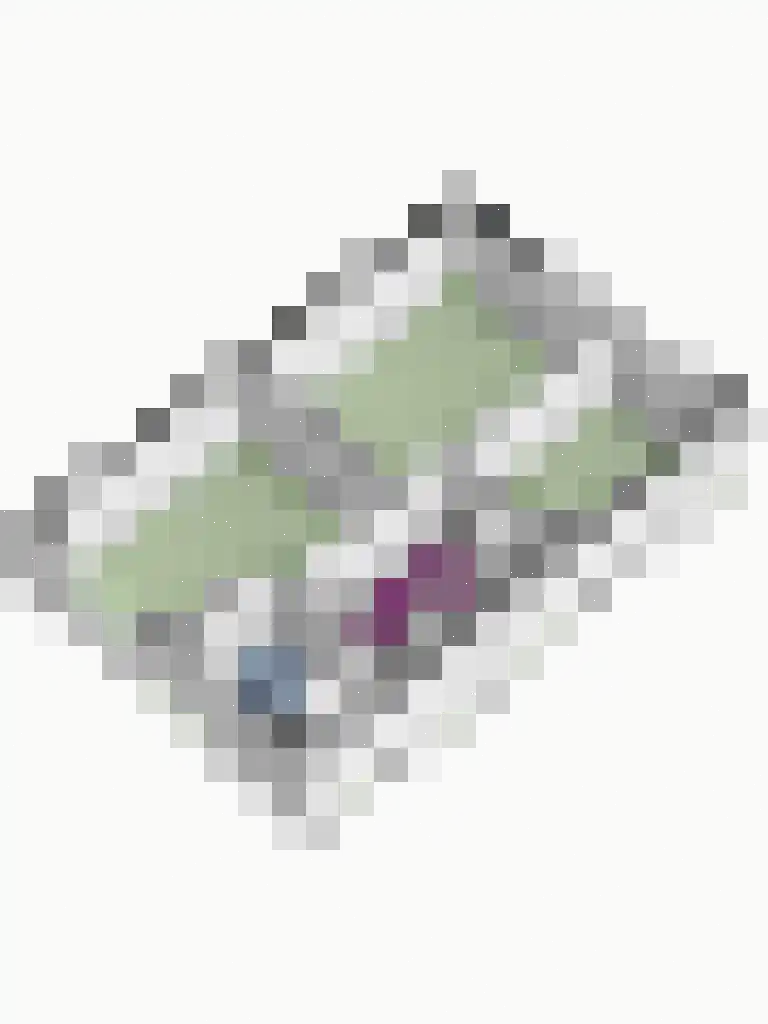 Koorman 7 Groenlo thumbnail 35