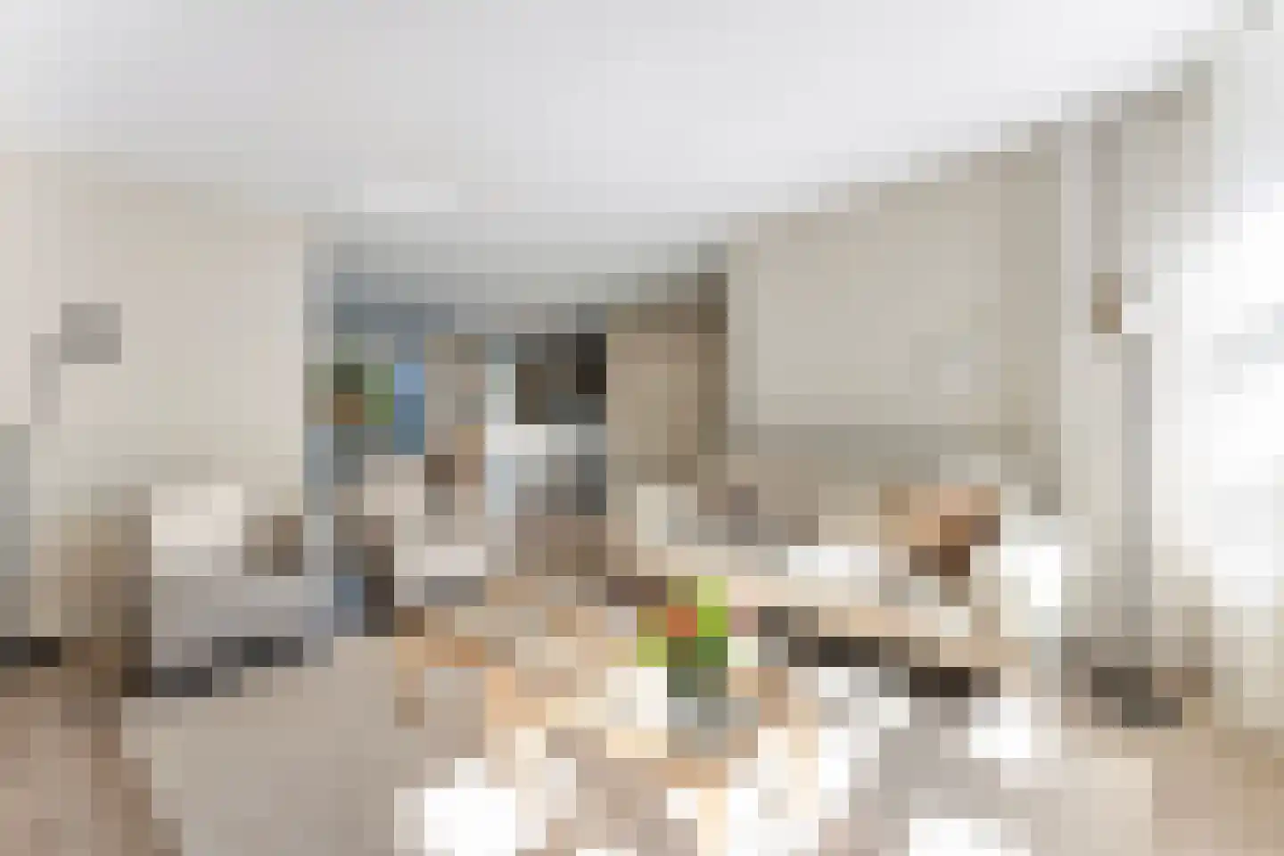 Koorman 7 Groenlo thumbnail 6