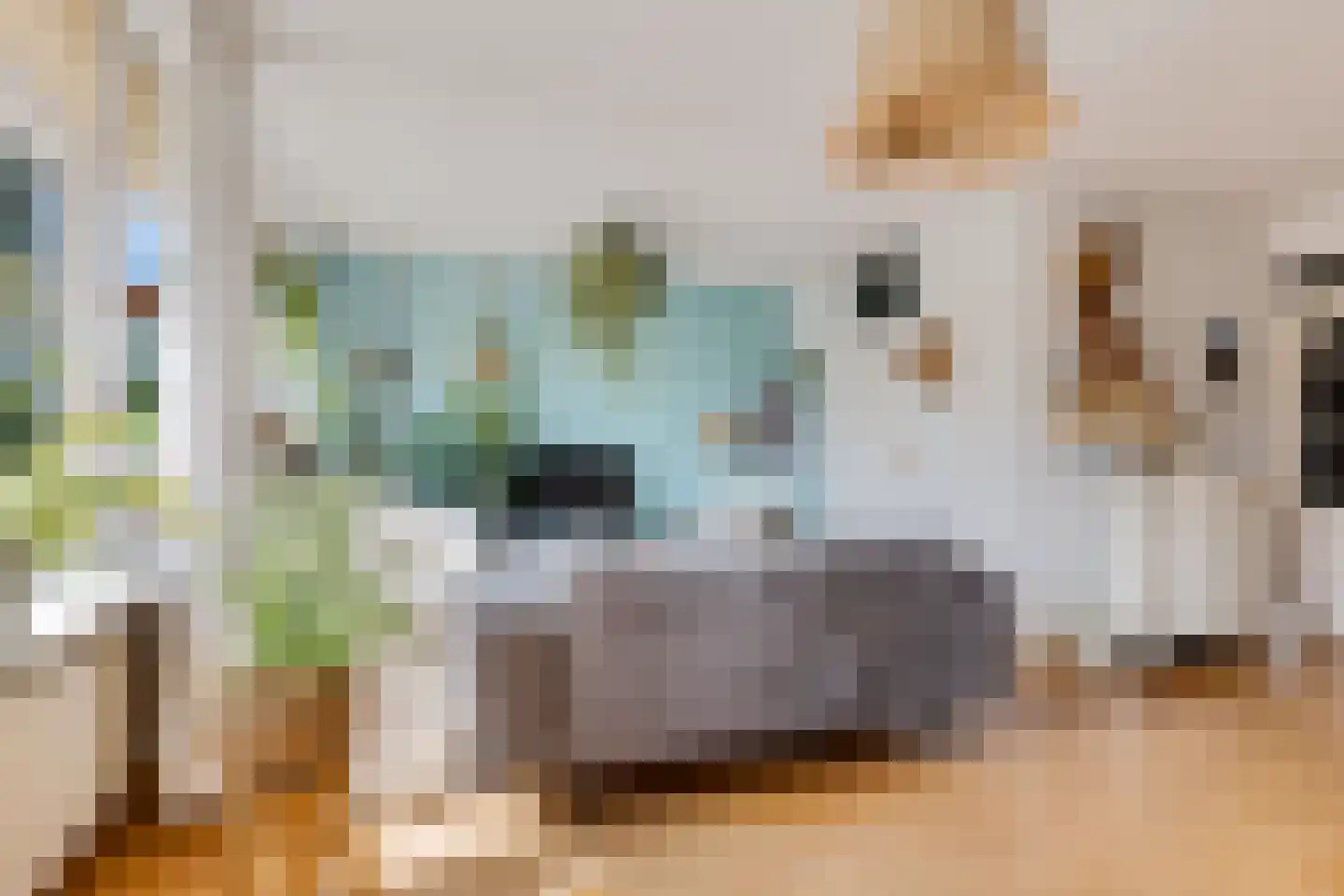 Koornbeursweg 232 Heerenveen thumbnail 8