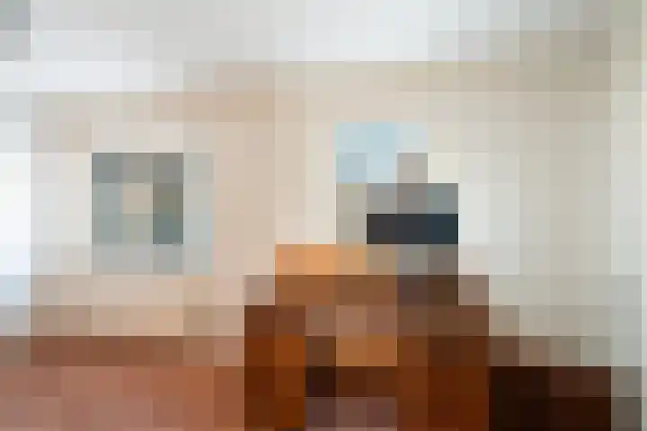 Koornbranderstraat 25 Delfgauw thumbnail 15