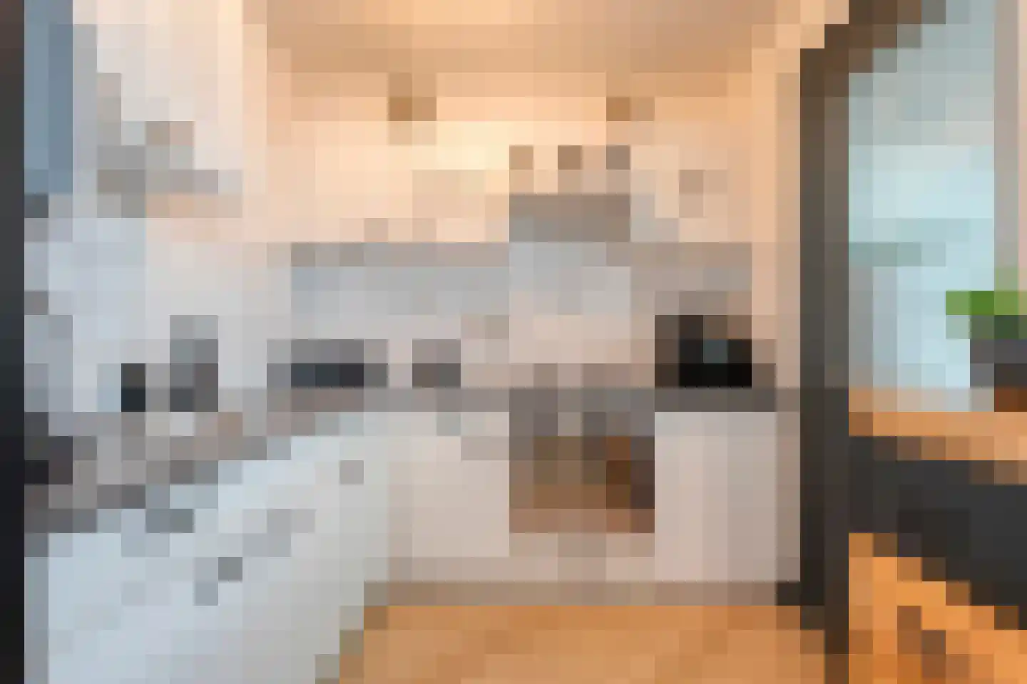 Koorncamp 7 Vledder thumbnail 16