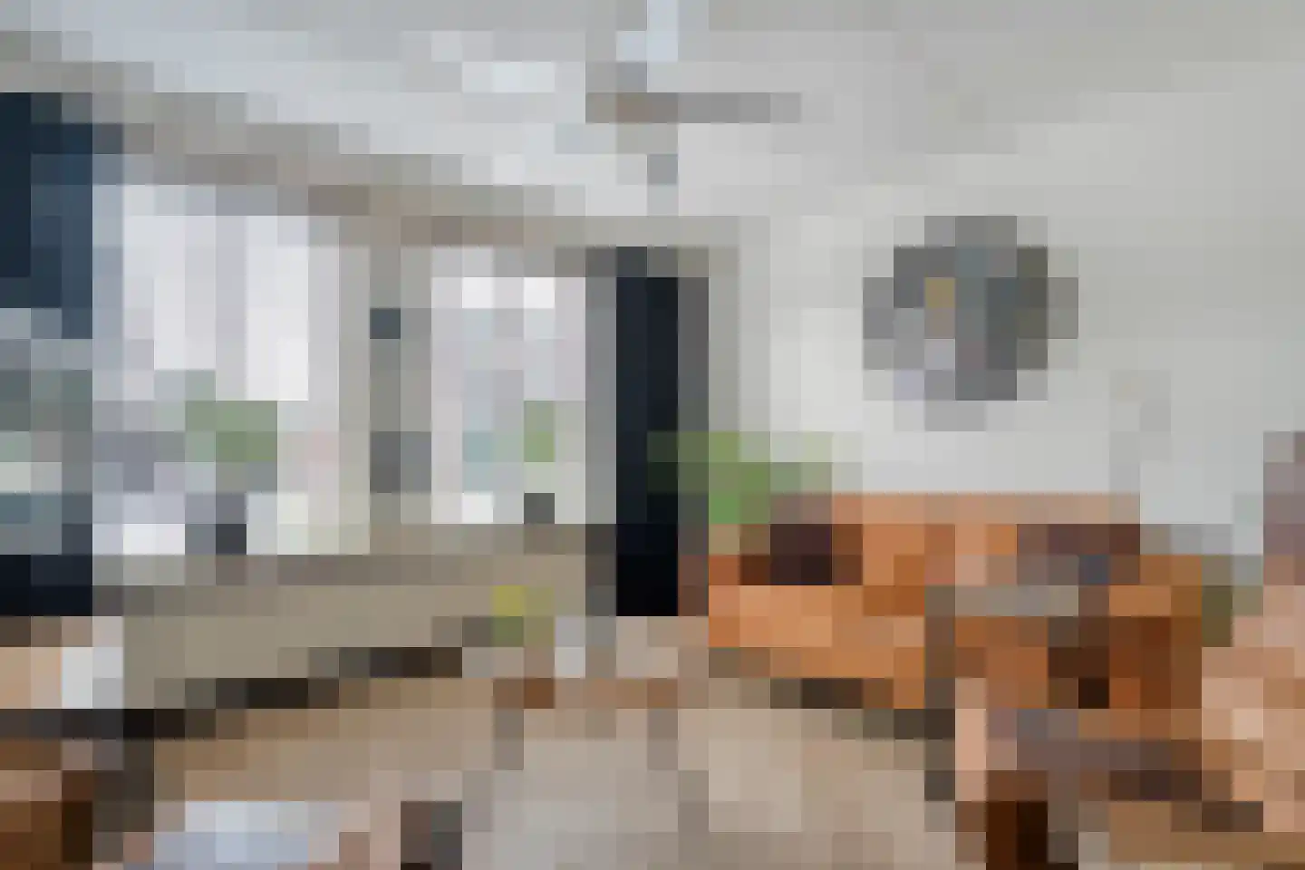 Koorncamp 7 Vledder thumbnail 4