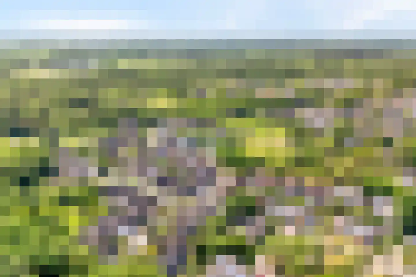 Koorncamp 7 Vledder thumbnail 40