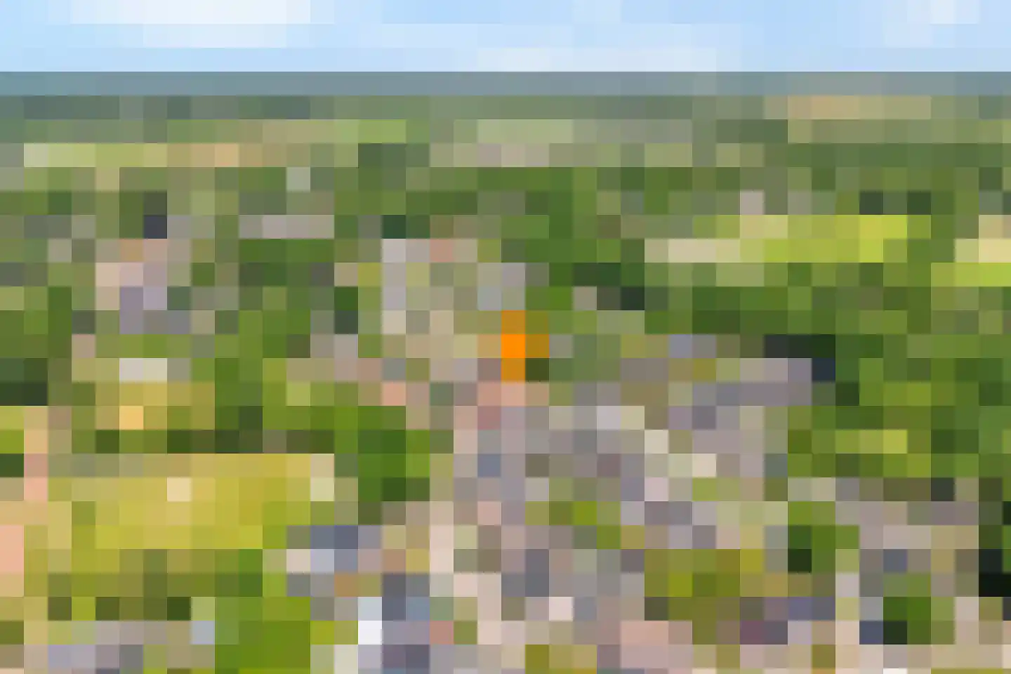 Koorncamp 7 Vledder thumbnail 5