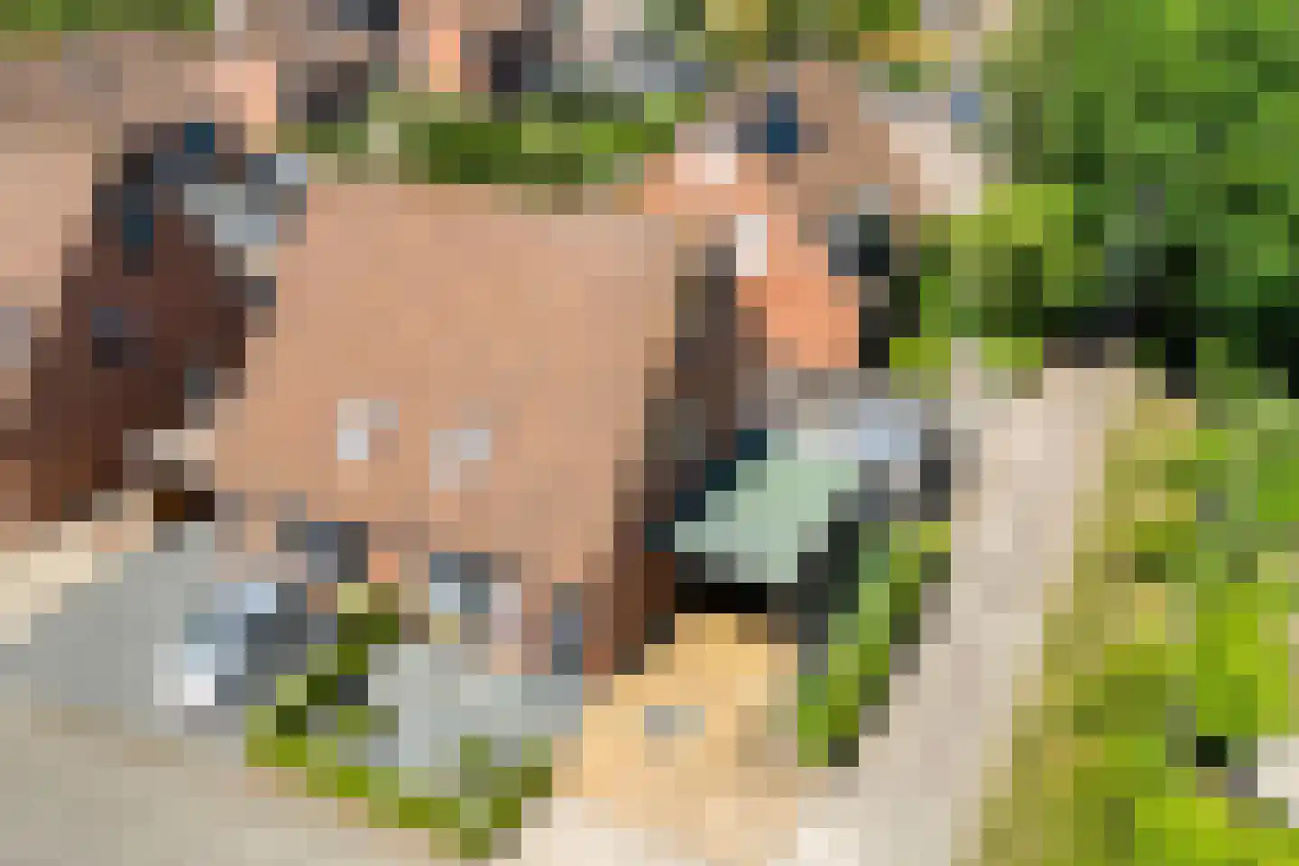 Koorncamp 7 Vledder thumbnail 7