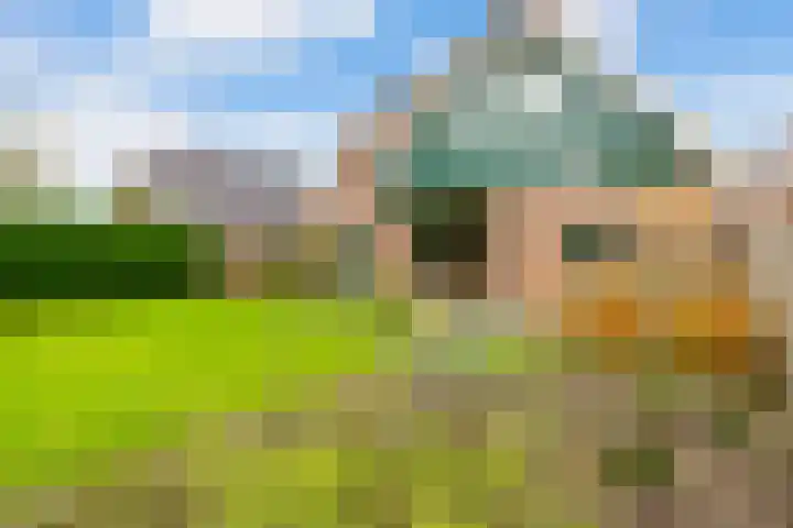 Koorndijk 35 Tuitjenhorn thumbnail 39