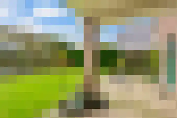 Koorndijk 35 Tuitjenhorn thumbnail 40