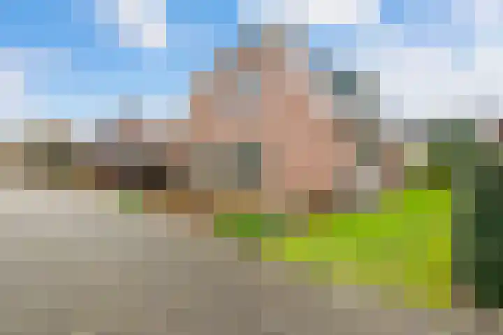 Koorndijk 35 Tuitjenhorn thumbnail 44