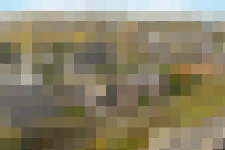 Koorndijk 35 Tuitjenhorn thumbnail 47