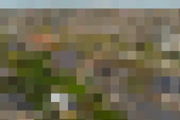 Koorndijk 35 Tuitjenhorn thumbnail 48