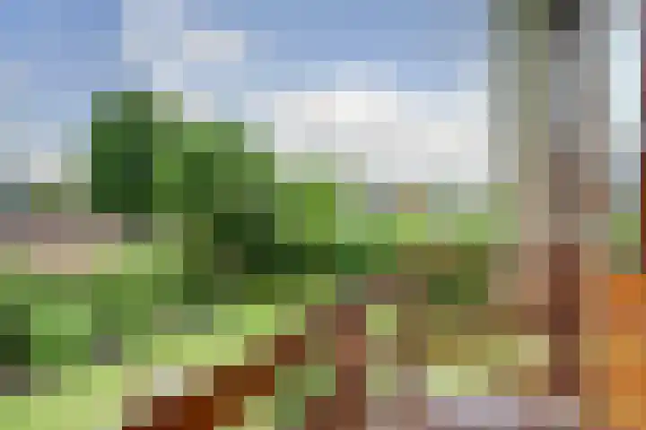 Koorndijk 37 Tuitjenhorn thumbnail 18