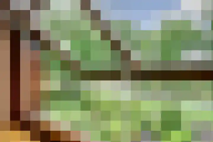 Koorndijk 37 Tuitjenhorn thumbnail 20