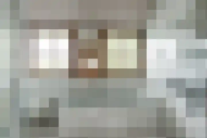 Koorndijk 37 Tuitjenhorn thumbnail 23
