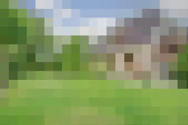 Koorndijk 37 Tuitjenhorn thumbnail 29