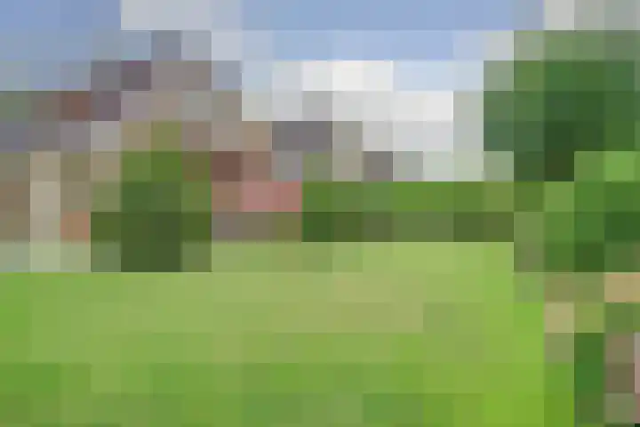 Koorndijk 37 Tuitjenhorn thumbnail 30