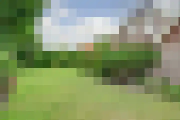 Koorndijk 37 Tuitjenhorn thumbnail 32