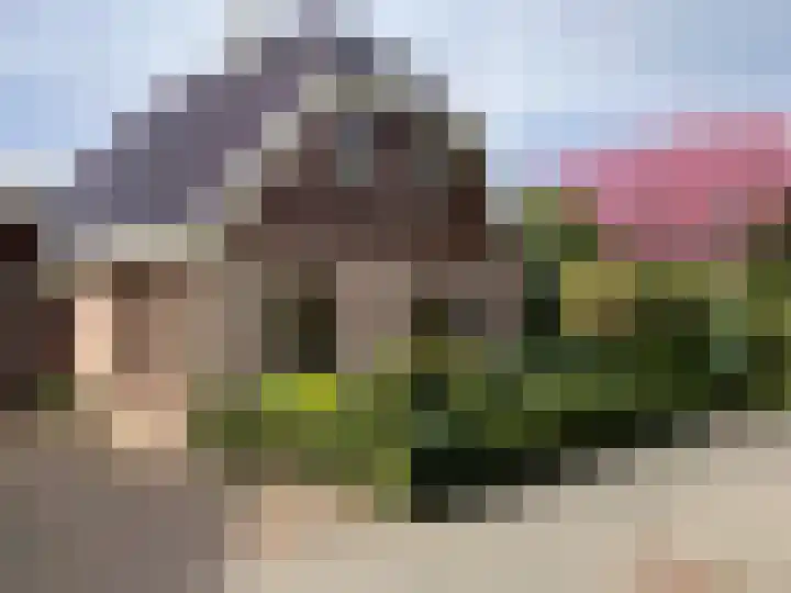 Koorndijk 37 Tuitjenhorn thumbnail 40