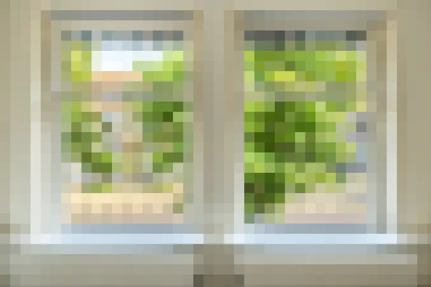 Koornmarkt 10 Kampen thumbnail 20