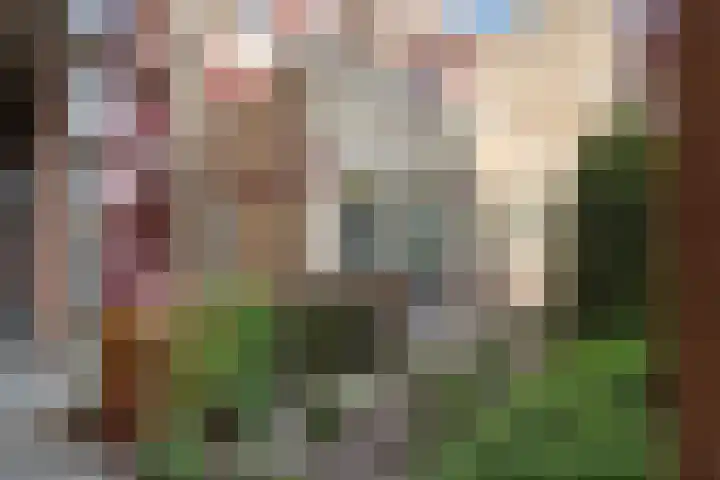 Koornmarkt 14 a in Tiel