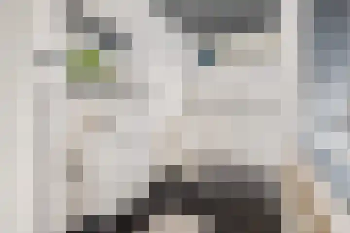 Koornmarkt 3 Tiel thumbnail 16