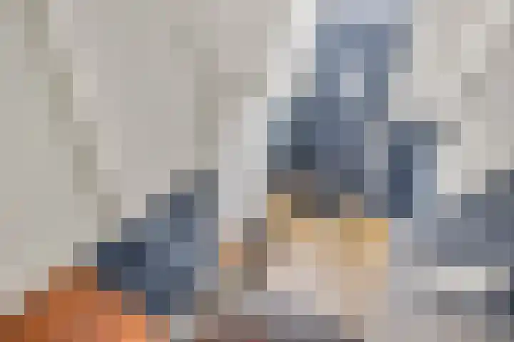 Koornmarkt 3 Tiel thumbnail 6