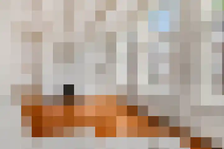 Koornmarkt 3 Tiel thumbnail 7