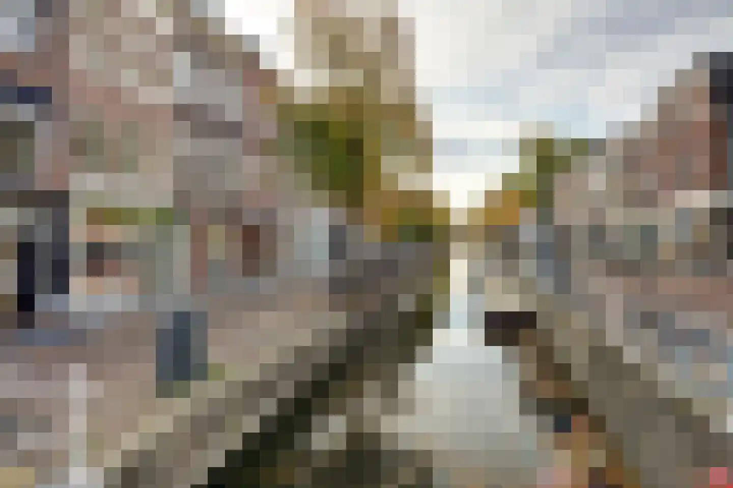Koornmarkt 48 D Delft thumbnail 14